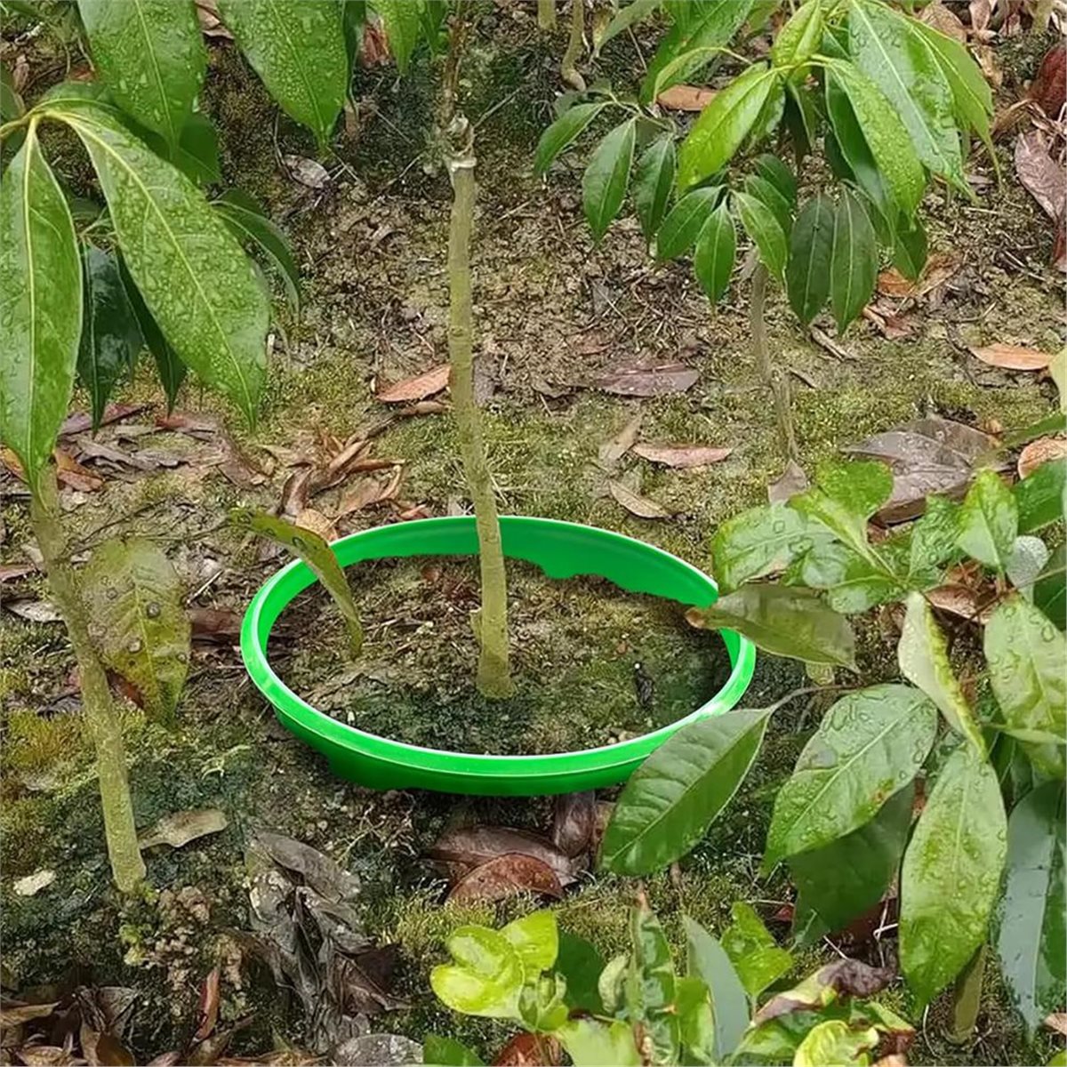 【COUNTDOWN DEAL】 4 Plant Guard - Gardening Tools Deals recension och pris
