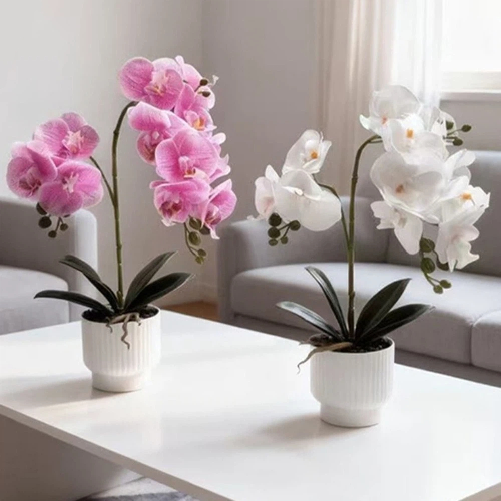 Multi-Bloom Simulated Butterfl - Orchid Potting Mix recension och pris