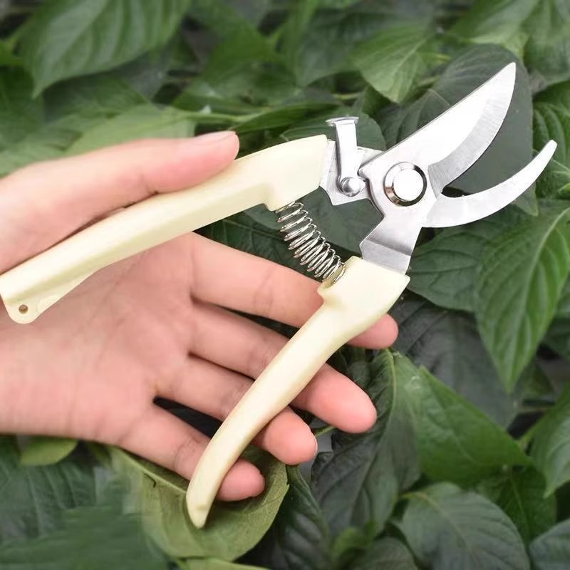 Power Pruning Shears for Fruit - Gardening Tools Pink recension och pris