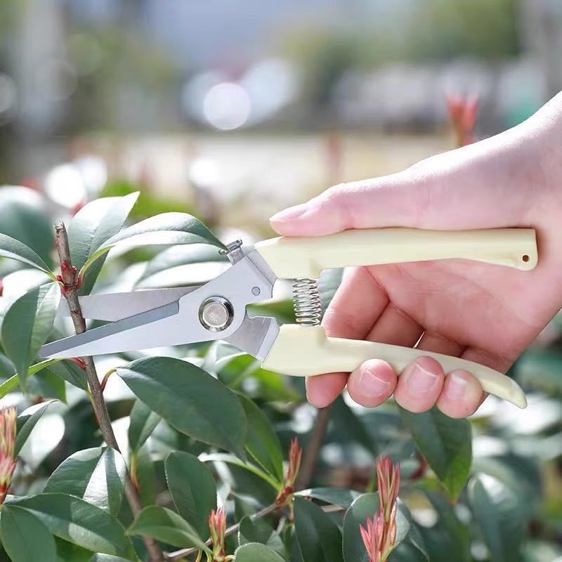 Power Pruning Shears for Fruit - Gardening Tools Pink recension och pris