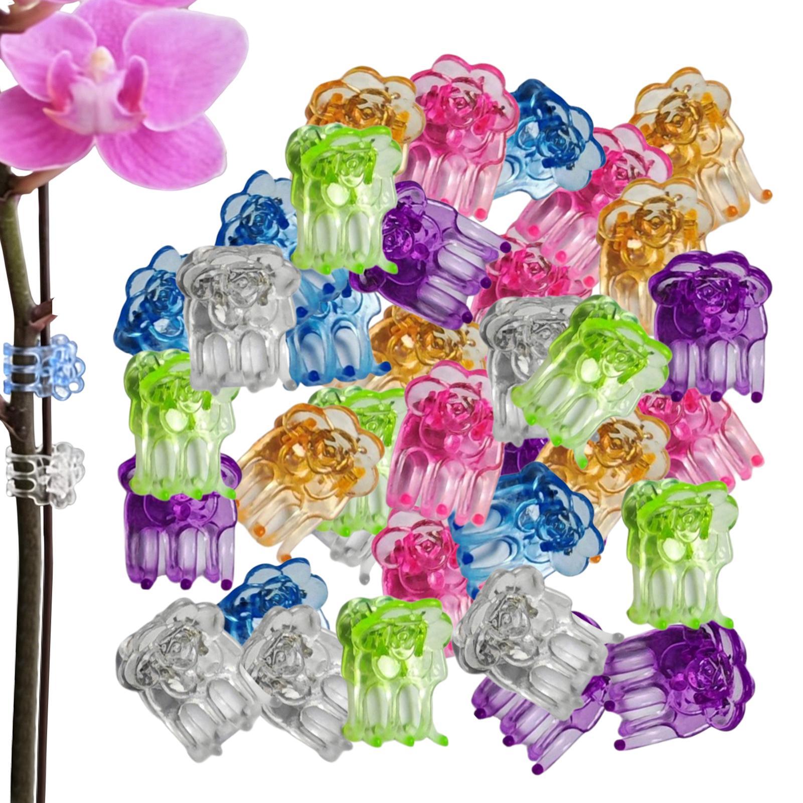 Orchid Clips 60 Pieces Butterf - Orchid Potting Mix recension och pris