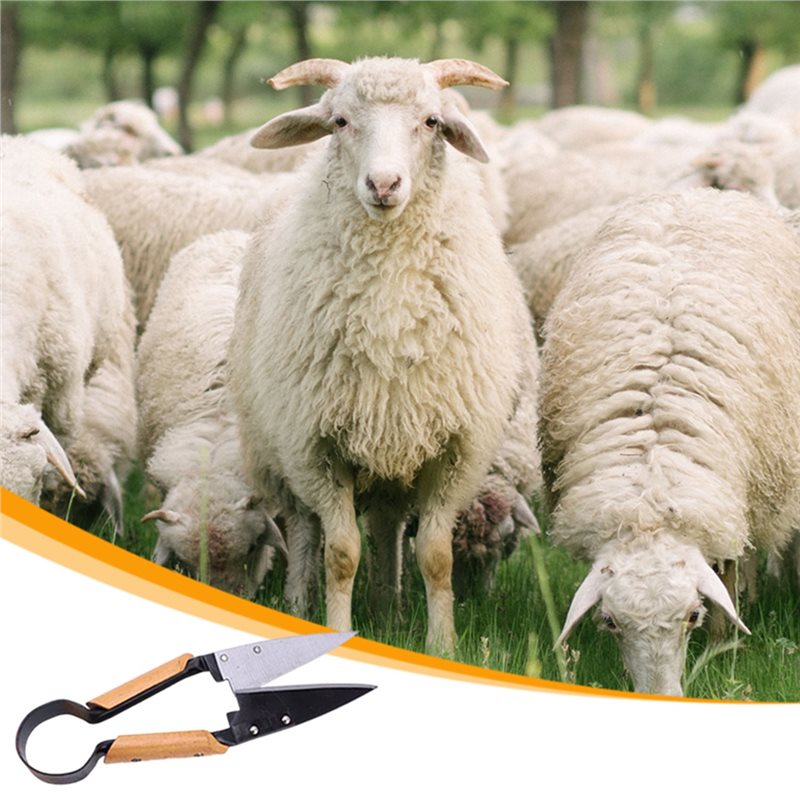 【FLASH DEAL】Heavy Duty 13Inch  - Gardening Tools Deals recension och pris