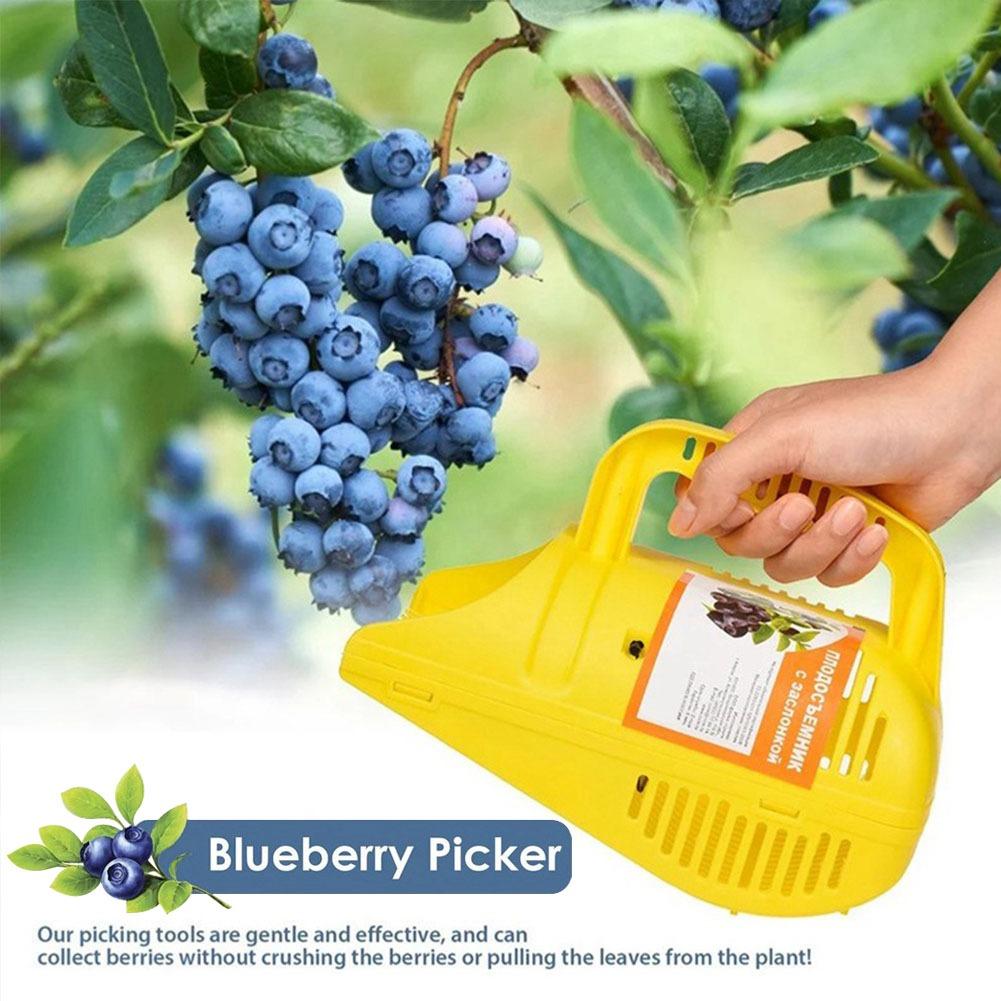 Easy-Grip Blueberry Picker Too - Gardening Tools Must Haves recension och pris