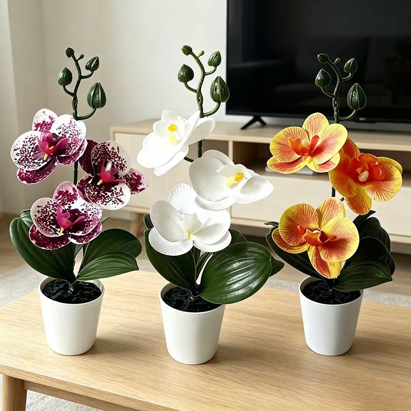Mini Butterfly Orchid Potted P - Orchid Potting Mix recension och pris