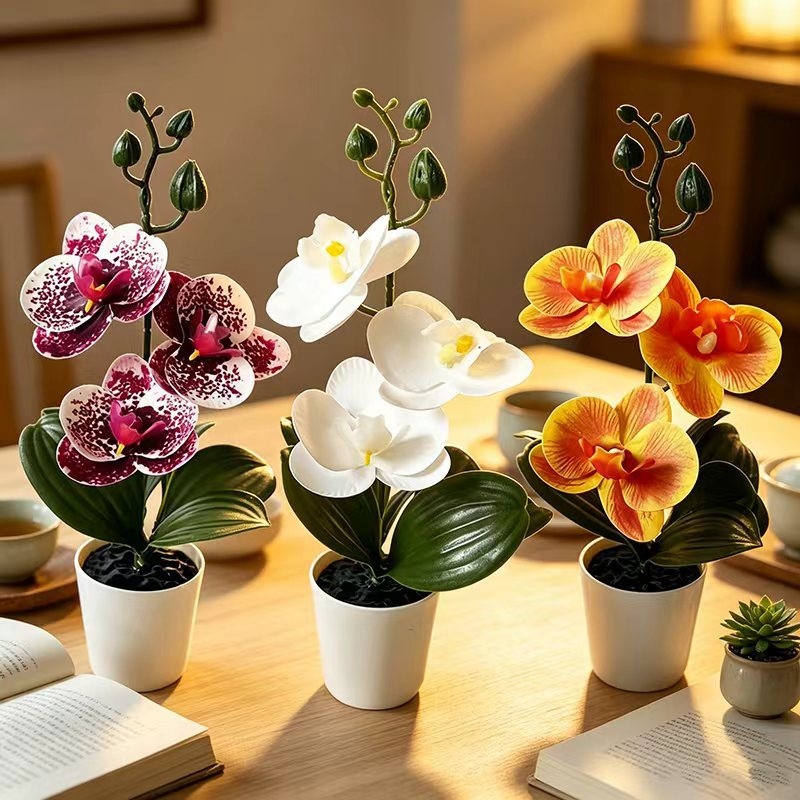 Mini Butterfly Orchid Potted P - Orchid Potting Mix recension och pris