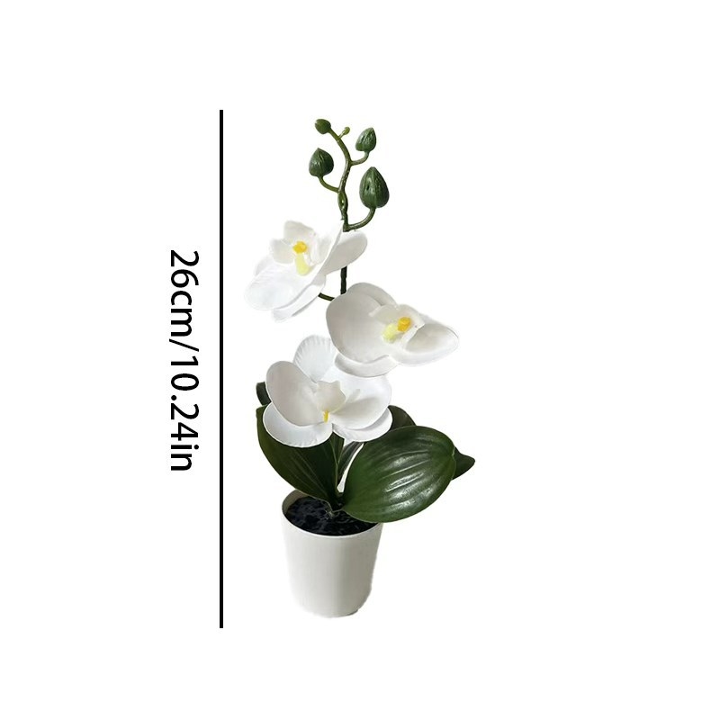 Mini Butterfly Orchid Potted P - Orchid Potting Mix recension och pris