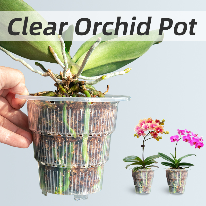 Meshpot Clear Plastic Orchid P - Orchid Potting Mix recension och pris