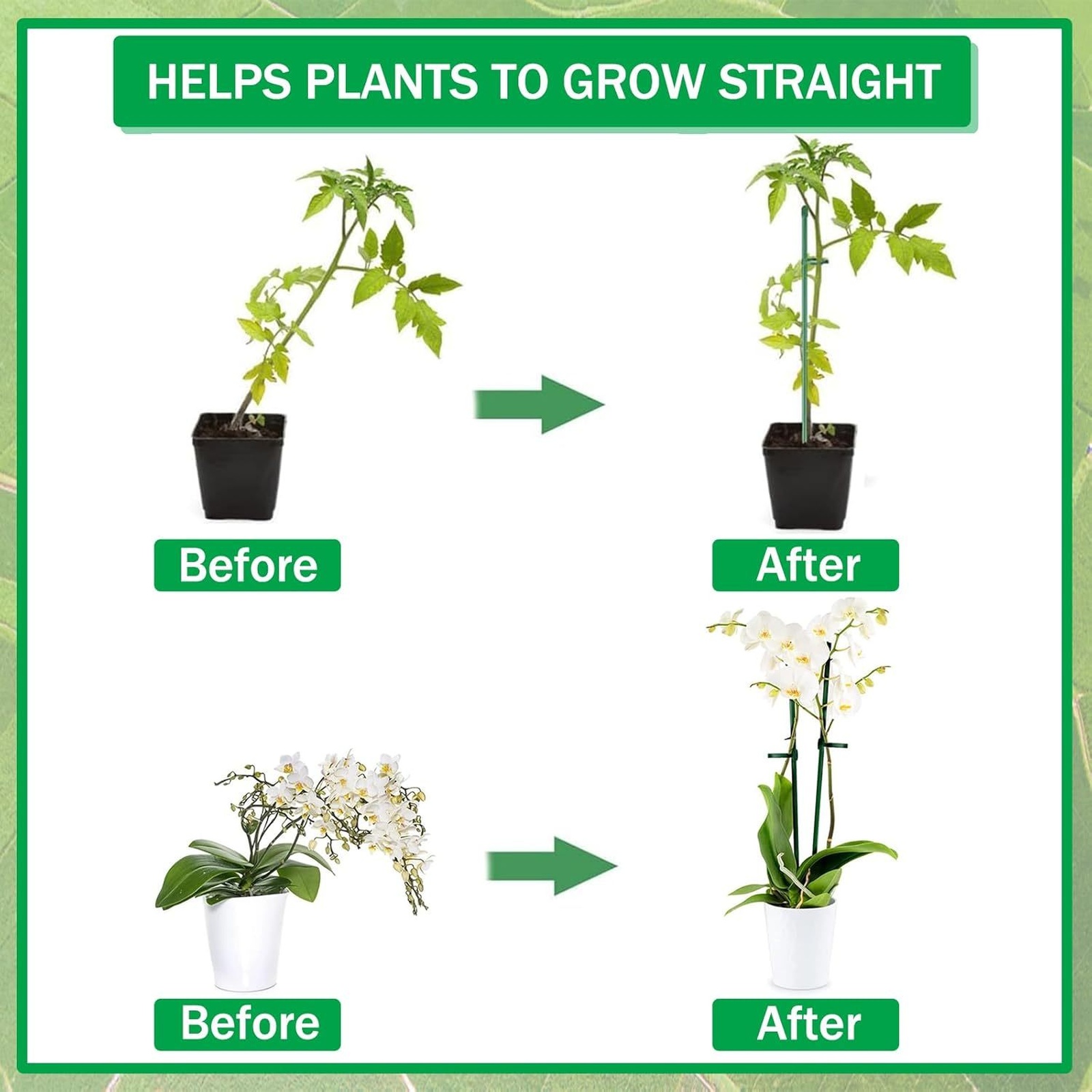 Plant Supports Rod Single Stem - Orchid Potting Mix recension och pris