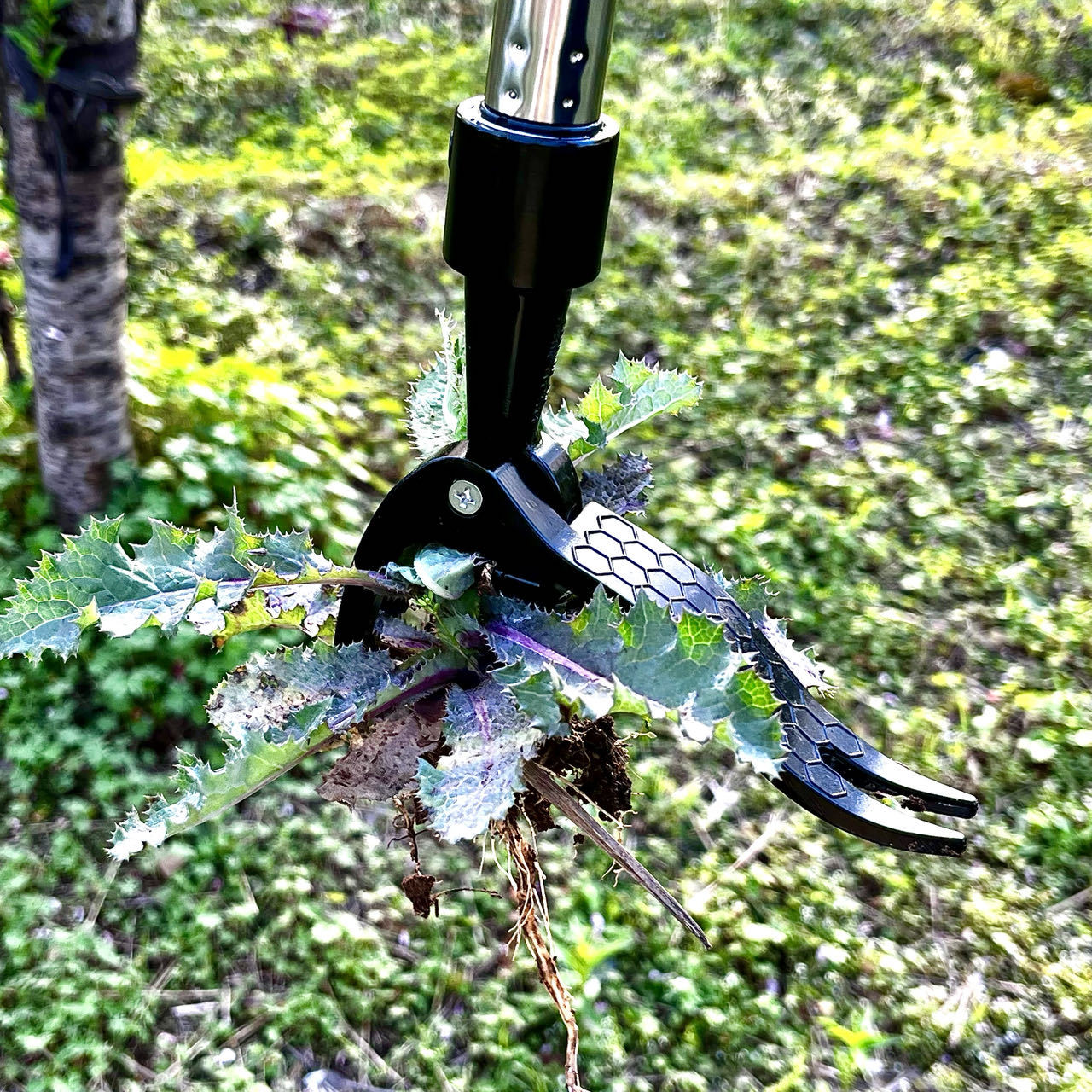 Save Labour Hand Metal Weed Ex - Gardening Tools Needed recension och pris