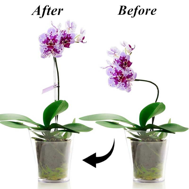 Reusable Clear Flower Support  - Orchid Potting Mix recension och pris