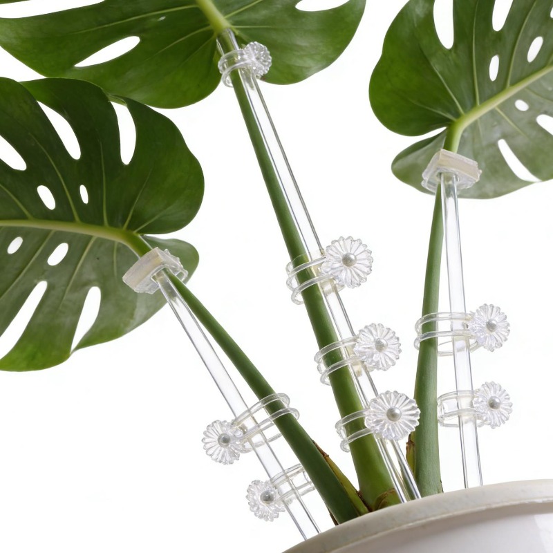 Reusable Clear Flower Support  - Orchid Potting Mix recension och pris