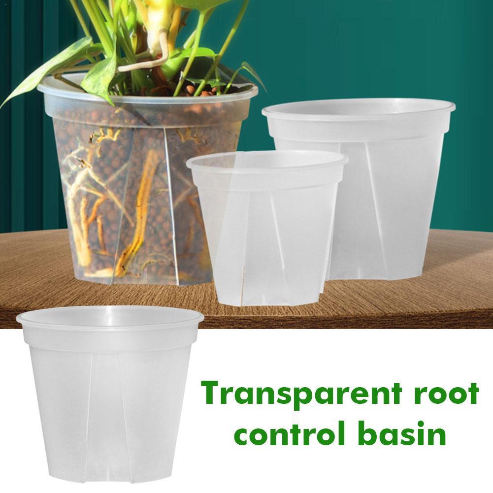Transparent Plastic Pots Root  - Orchid Potting Mix recension och pris