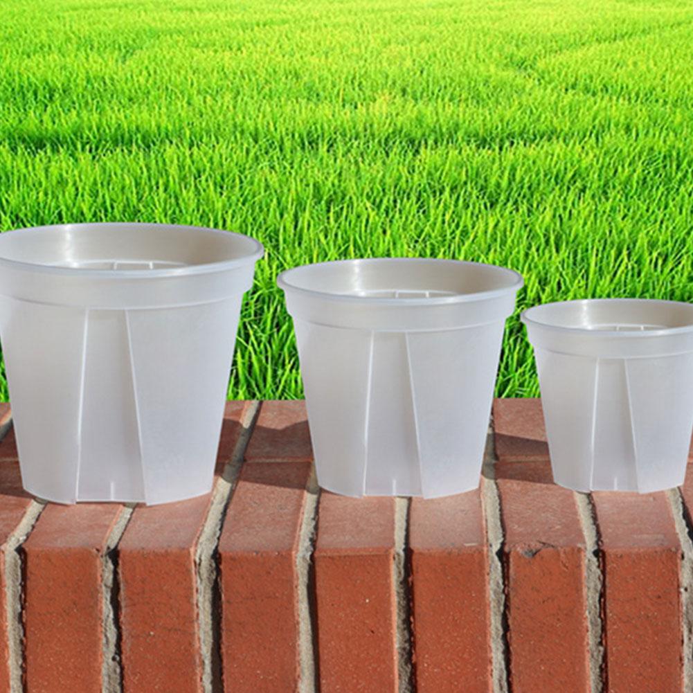 Transparent Plastic Pots Root  - Orchid Potting Mix recension och pris