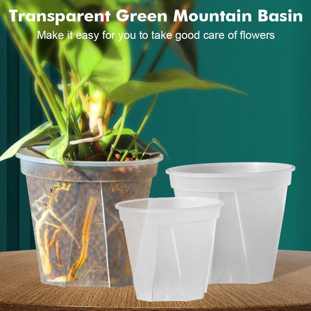 Transparent Plastic Pots Root  - Orchid Potting Mix recension och pris