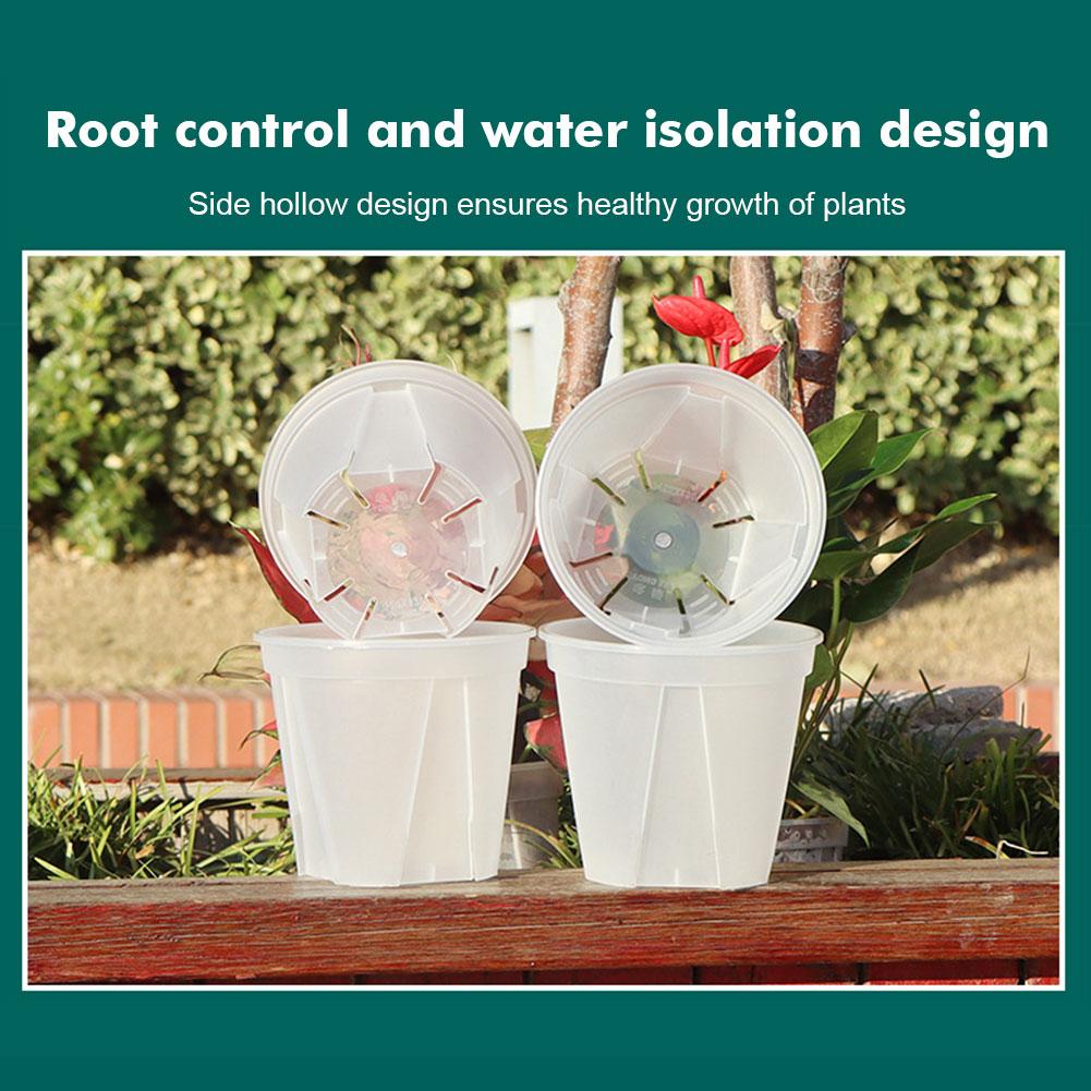Transparent Plastic Pots Root  - Orchid Potting Mix recension och pris