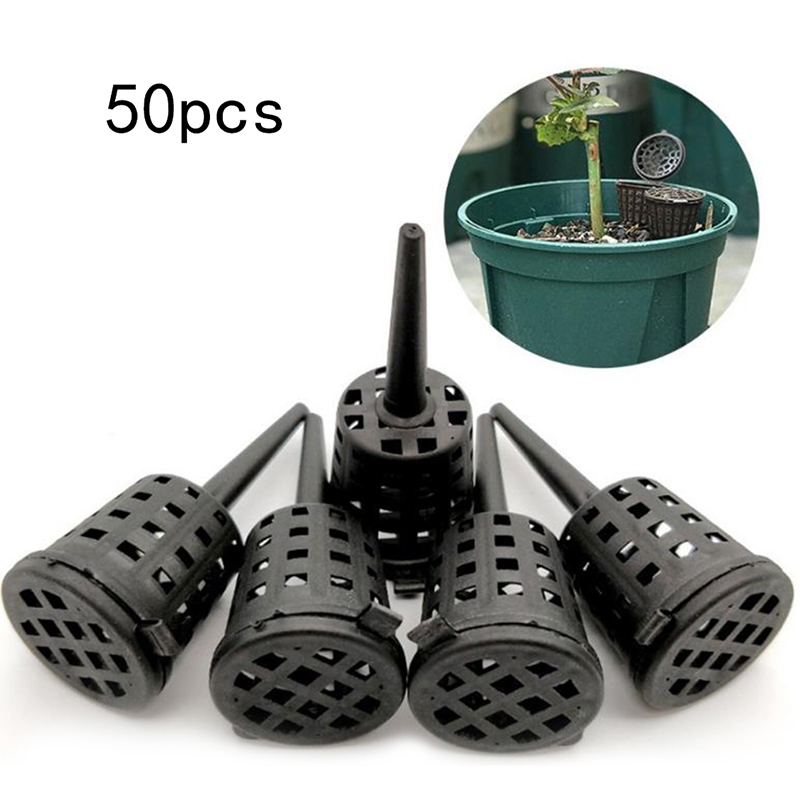 50 Pcs/pack Plants Fertilizer  - Orchid Potting Mix recension och pris