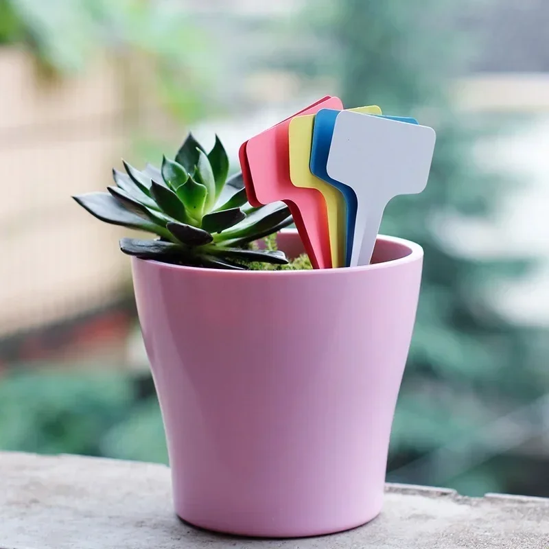 20 Pcs Plastic Waterproof Plan - Gardening Tools With Names recension och pris