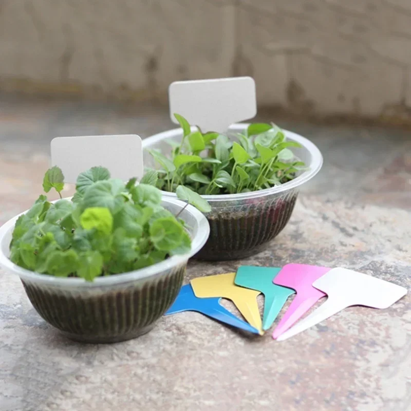 20 Pcs Plastic Waterproof Plan - Gardening Tools With Names recension och pris