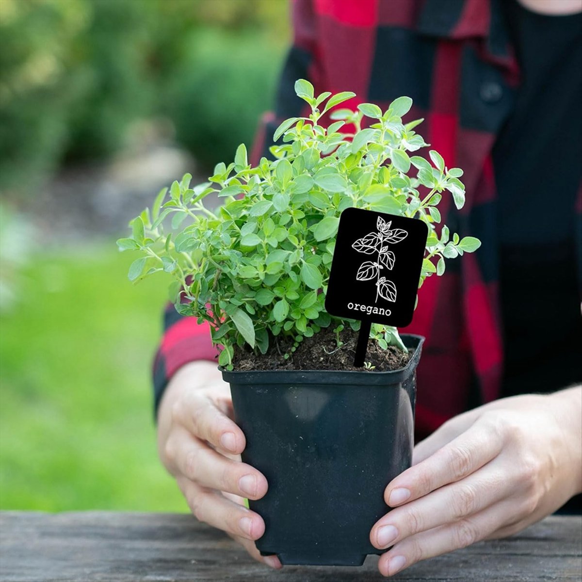 AA14 24Pcs Acrylic Plant Label - Gardening Tools With Names recension och pris