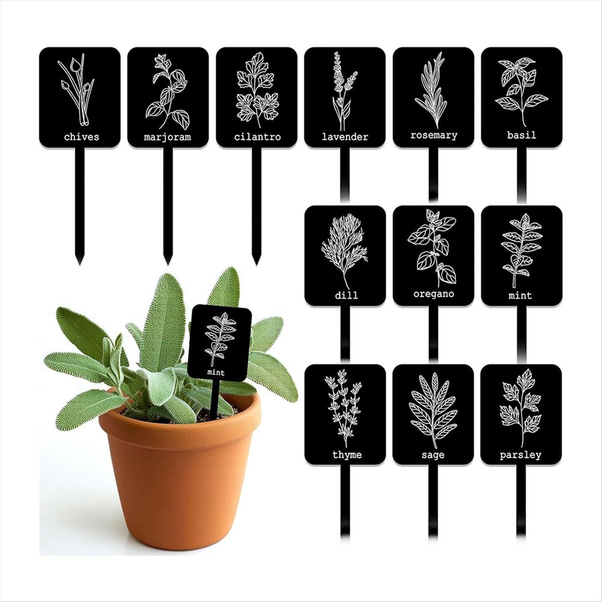 AA14 24Pcs Acrylic Plant Label - Gardening Tools With Names recension och pris