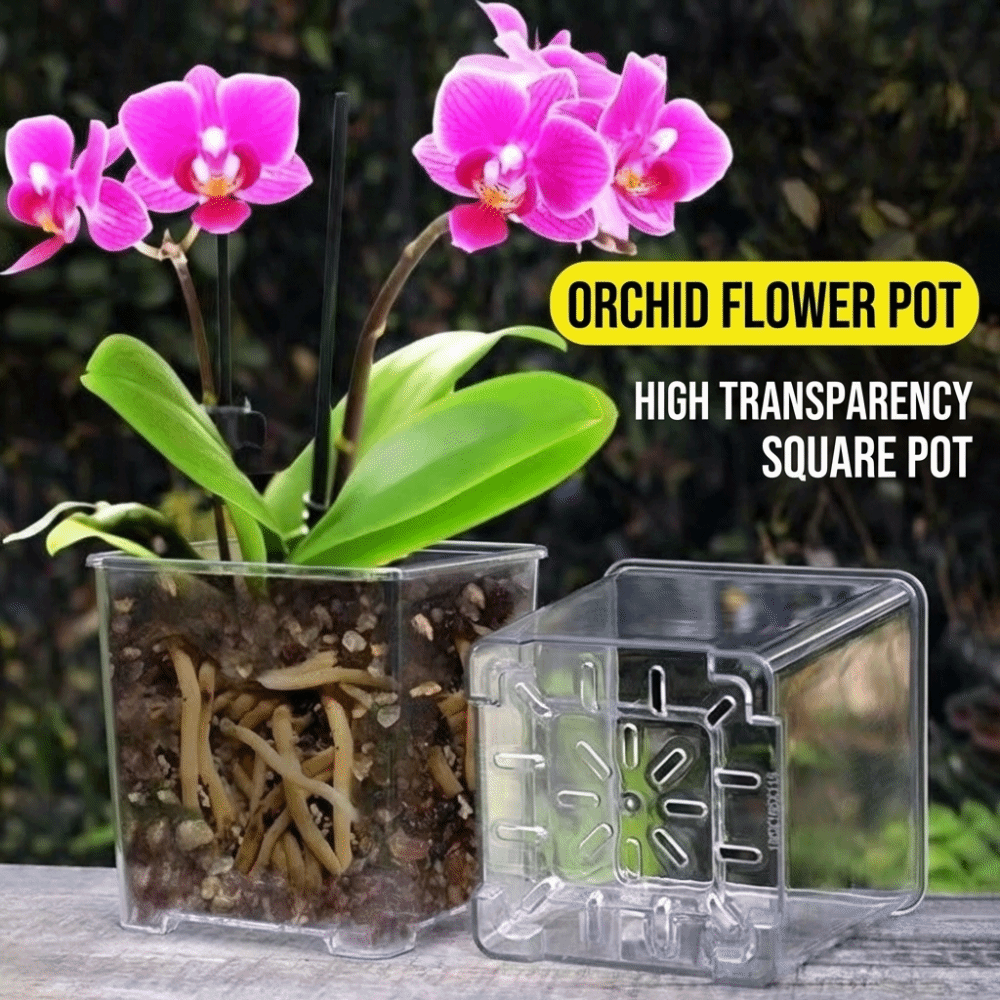 5PCS/Kit Clear Plastic Orchid  - Orchid Potting Mix recension och pris