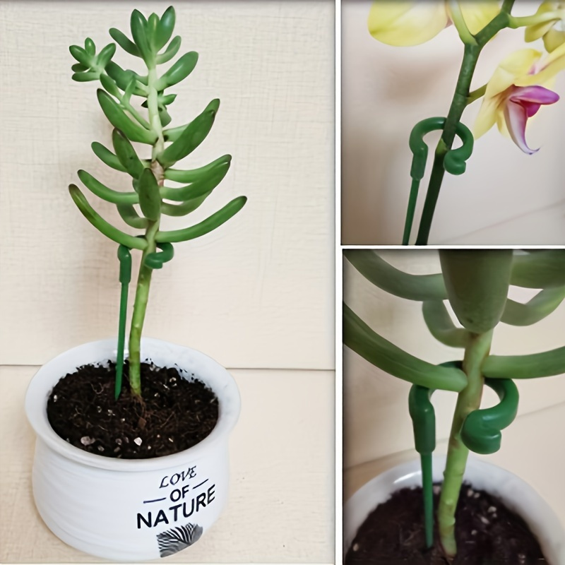 6Pcs Green Plastic Plant Suppo - Orchid Potting Mix recension och pris